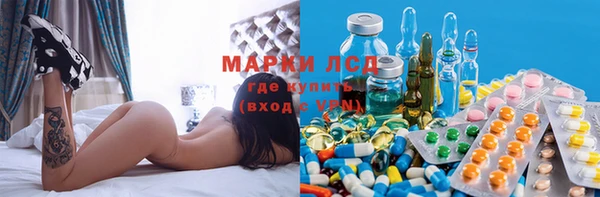 прущие грибы Осинники