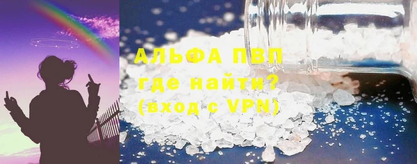 прущие грибы Осинники