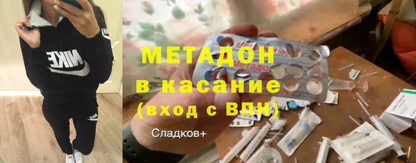 прущие грибы Осинники