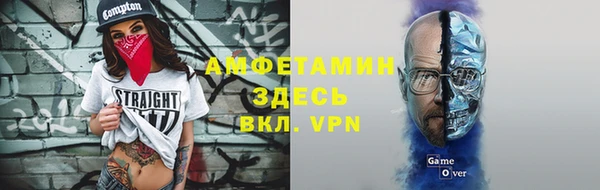 прущие грибы Осинники
