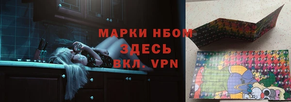 прущие грибы Осинники