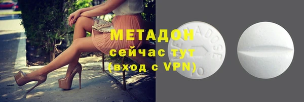 прущие грибы Осинники