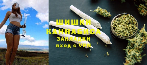 прущие грибы Осинники